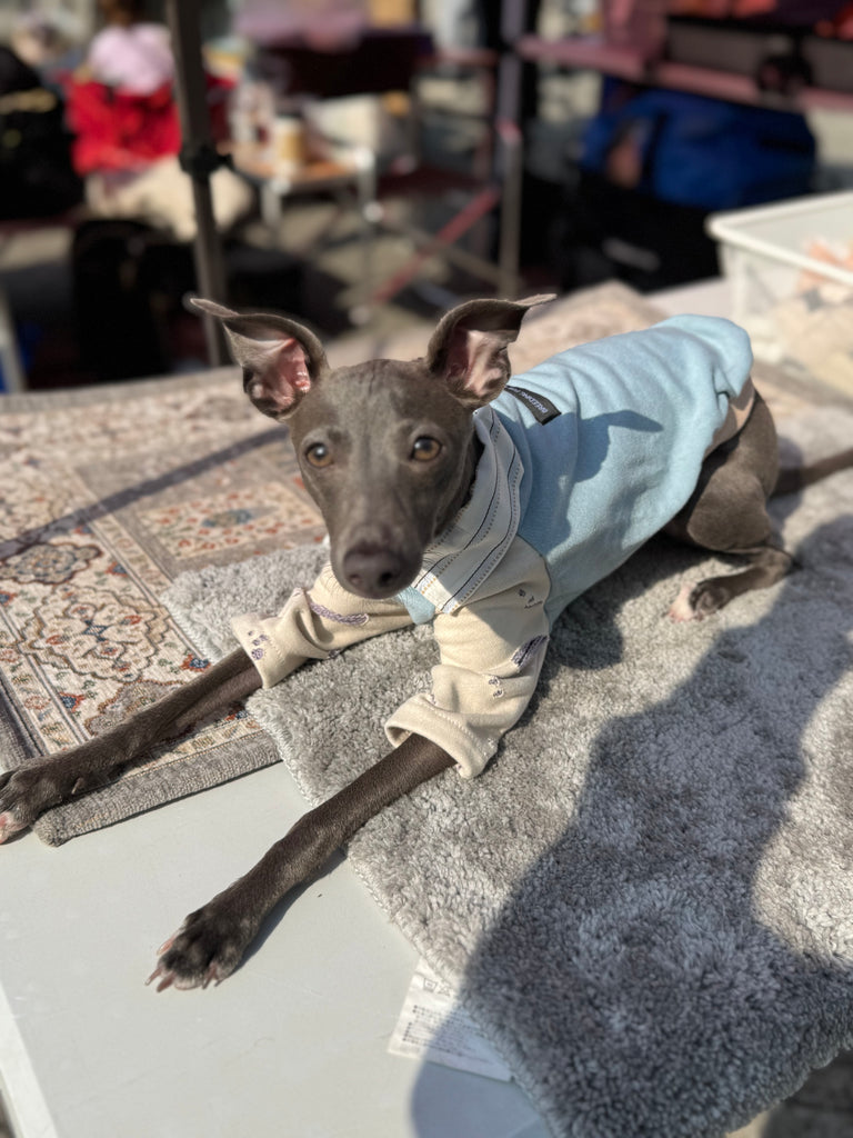 Shirts pullover 【skyblue】