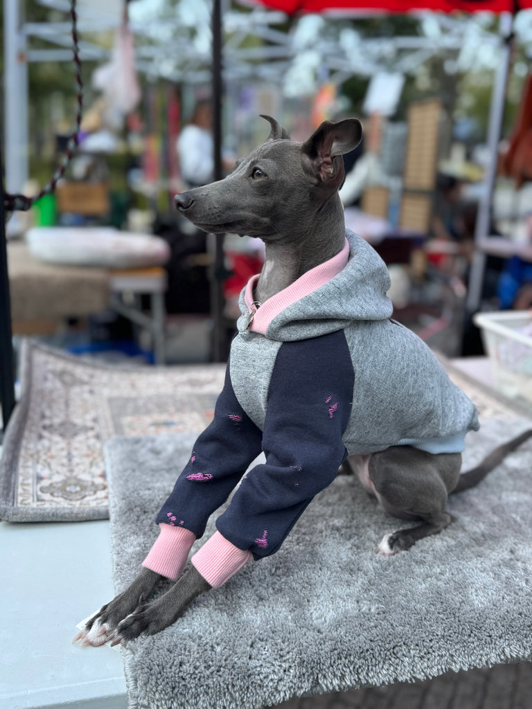 Hoodie pullover 【gray】