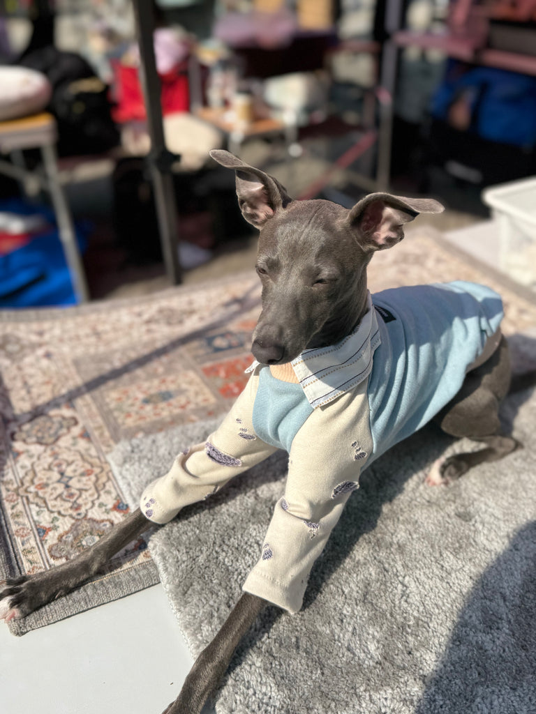 Shirts pullover 【skyblue】