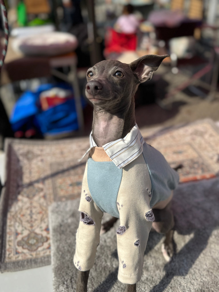 Shirts pullover 【skyblue】