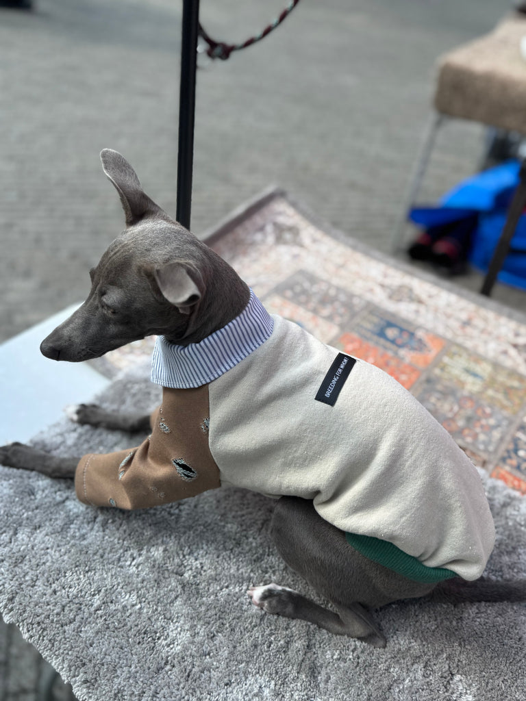 Shirts pullover 【beige】