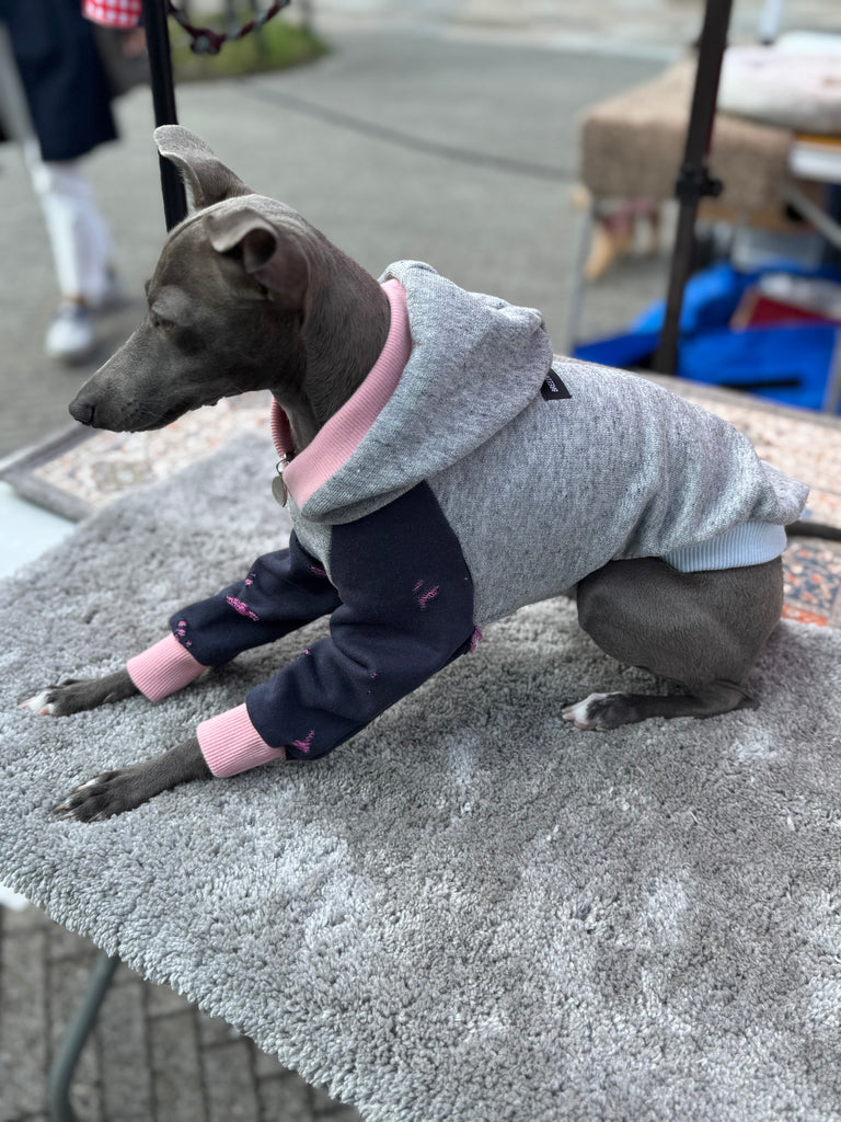 Hoodie pullover 【gray】