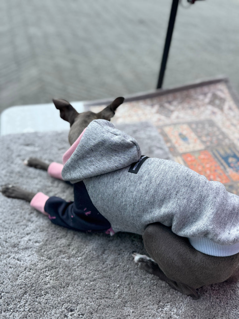 Hoodie pullover 【gray】