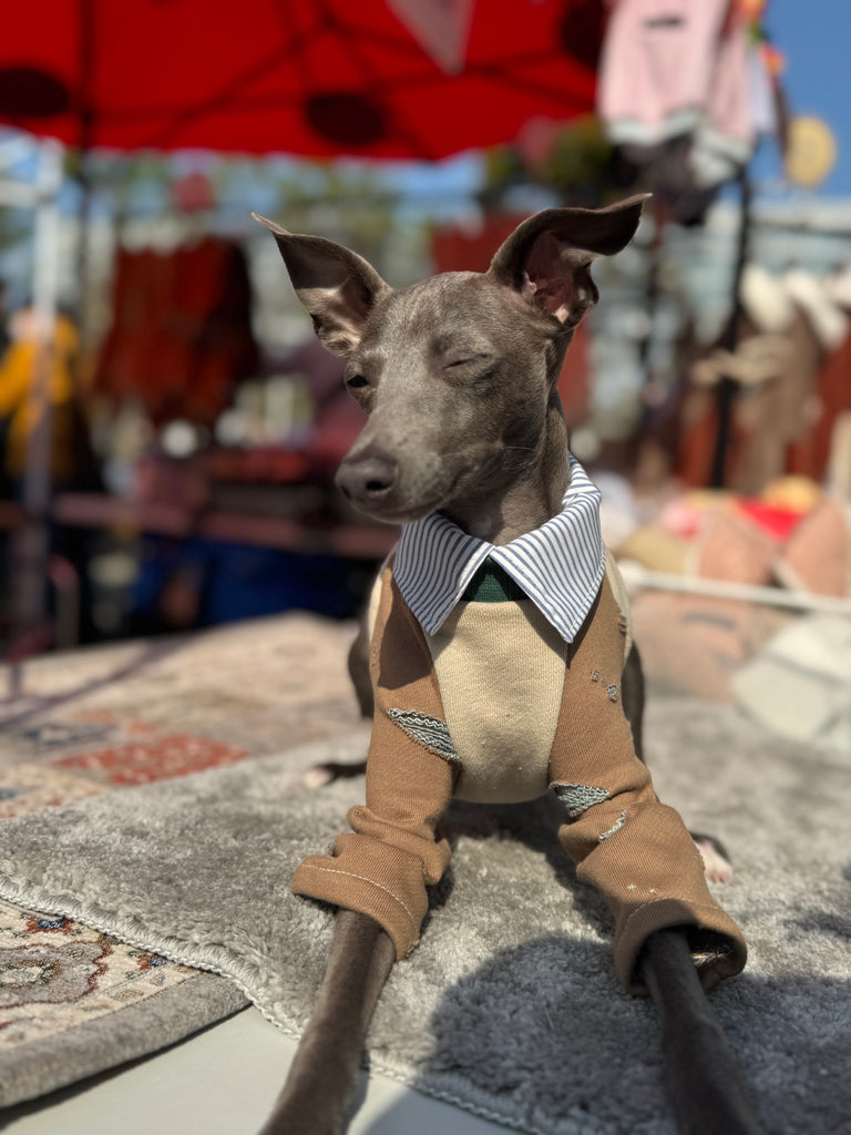 Shirts pullover 【beige】