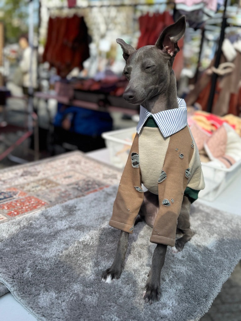 Shirts pullover 【beige】