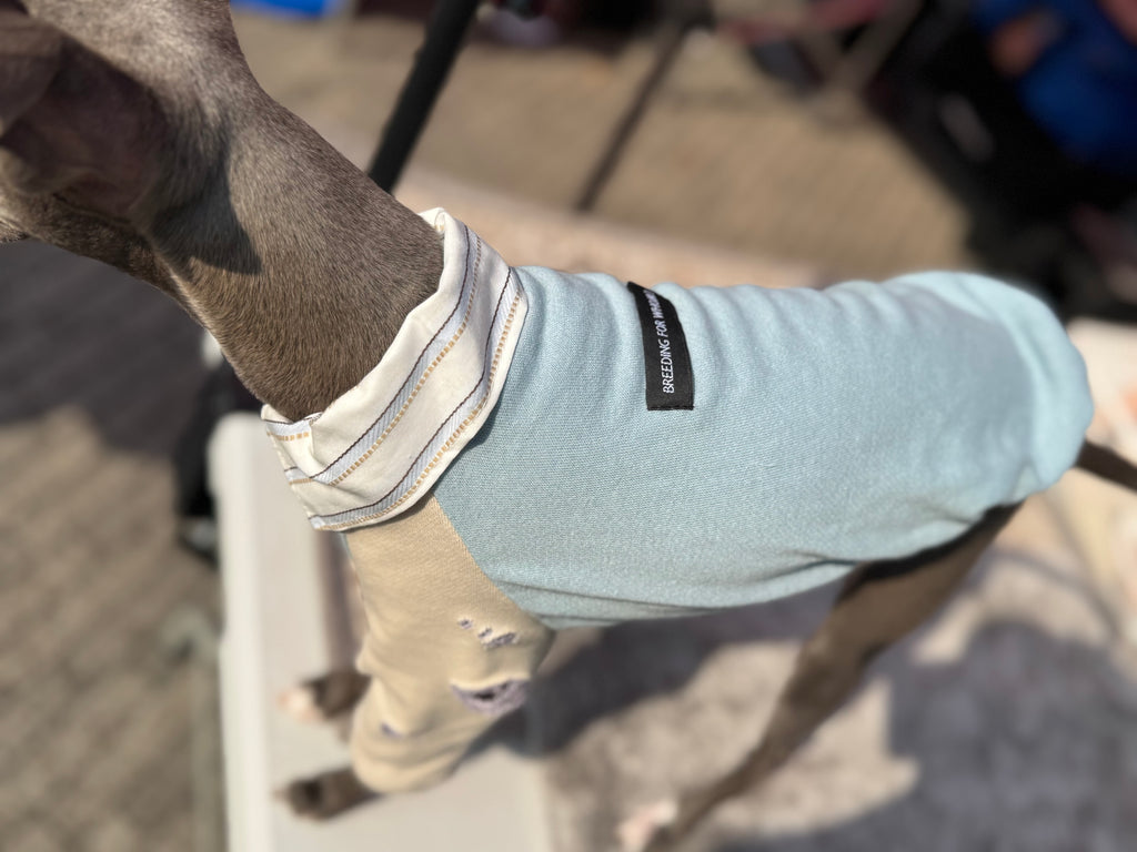 Shirts pullover 【skyblue】