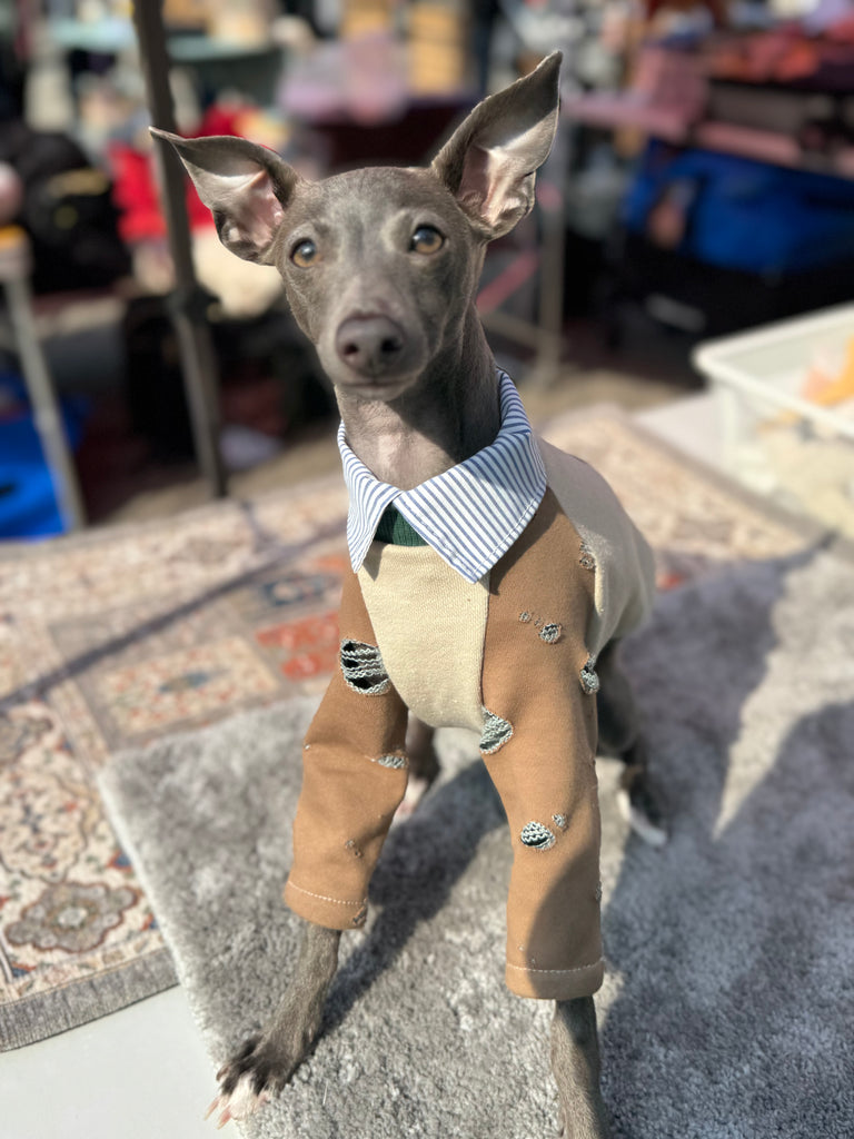 Shirts pullover 【beige】