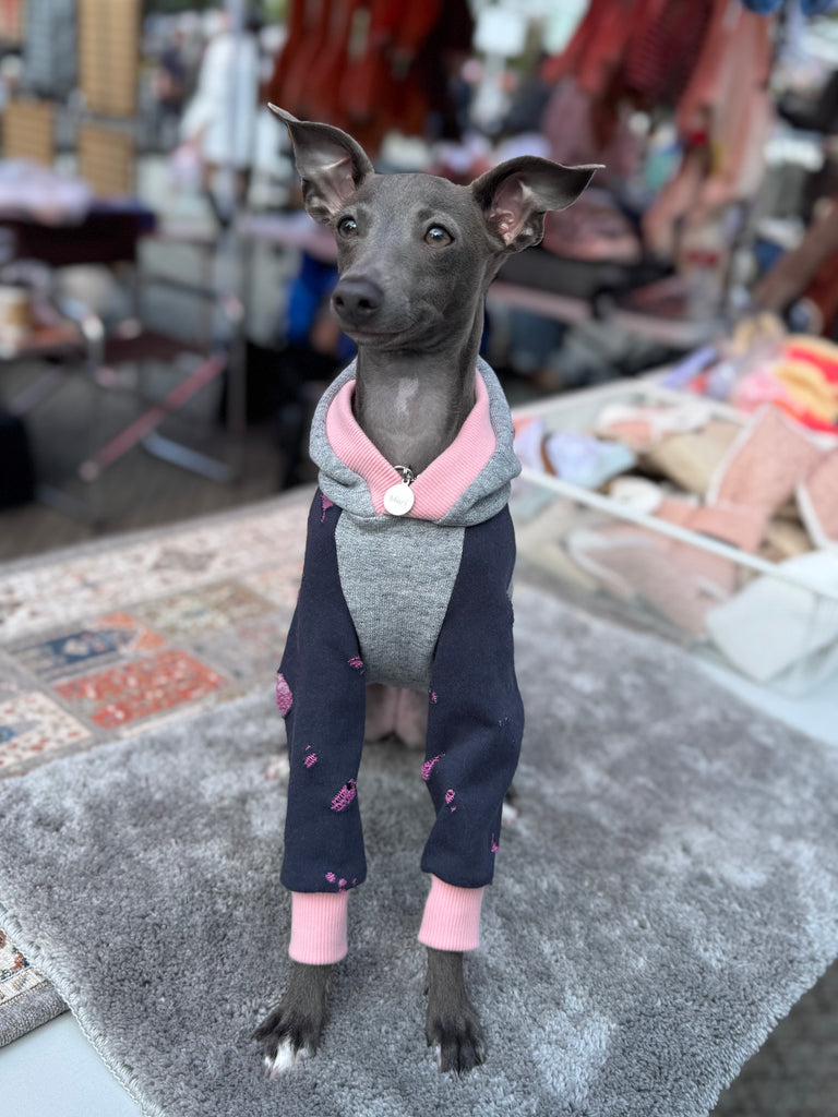 Hoodie pullover 【gray】