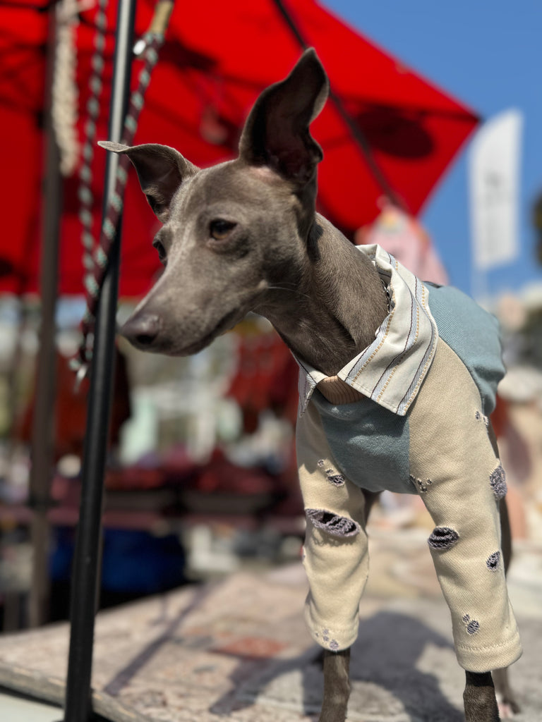 Shirts pullover 【skyblue】