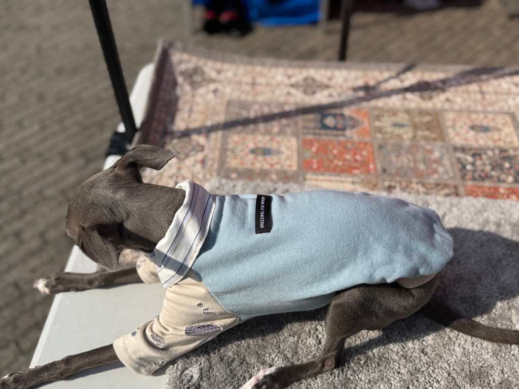 Shirts pullover 【skyblue】