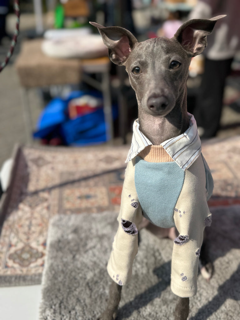 Shirts pullover 【skyblue】