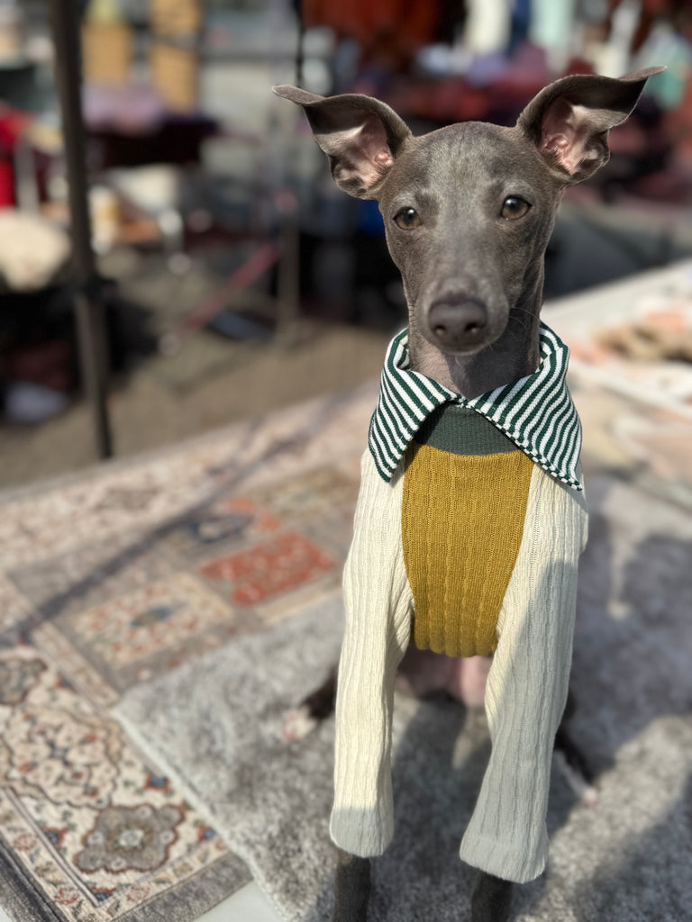 Shirts pullover 【mustard】