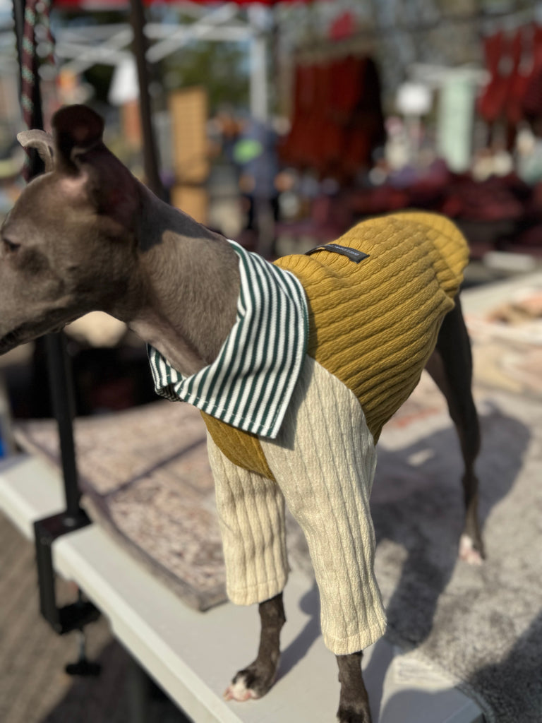 Shirts pullover 【mustard】