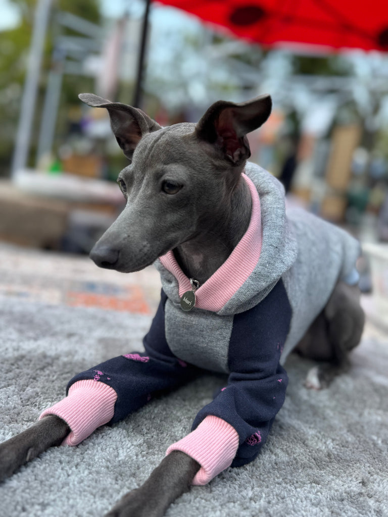 Hoodie pullover 【gray】