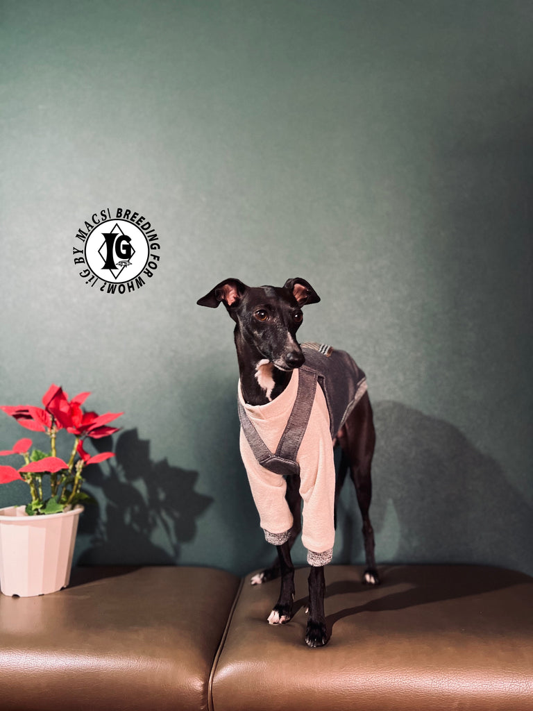 "The Night Blossom" Overall layered Pullover Dusty pink/Grey Color