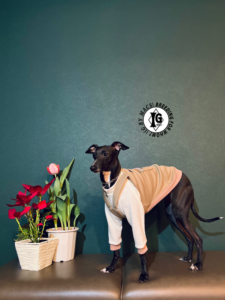 "The Night Blossom" Overall layered Pullover White/Beige Color