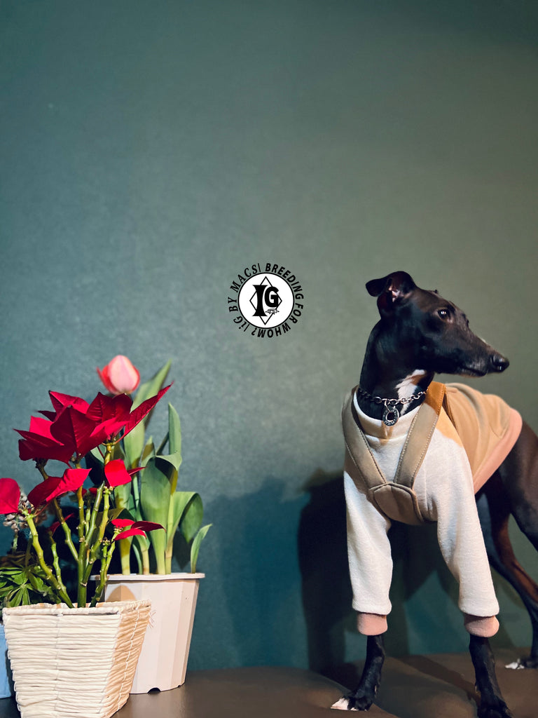 "The Night Blossom" Overall layered Pullover White/Beige Color