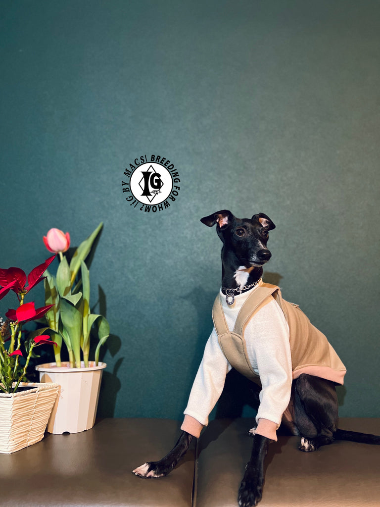 "The Night Blossom" Overall layered Pullover White/Beige Color