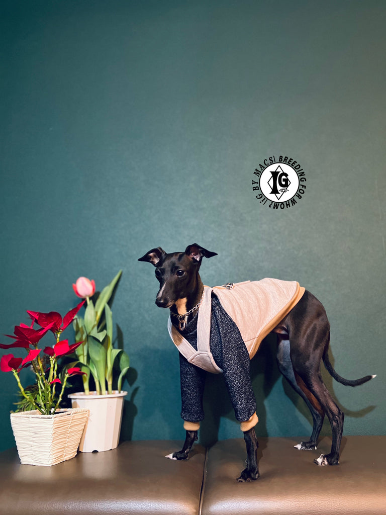 "The Night Blossom" Overall layered Pullover Blue/Ivory Color