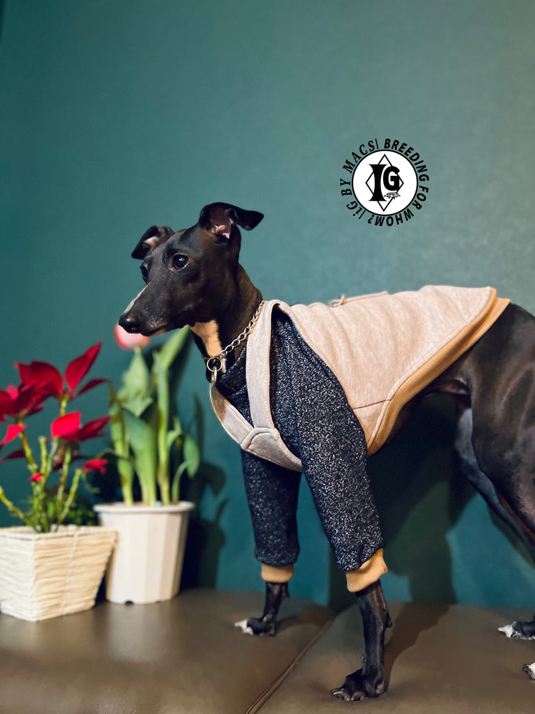 "The Night Blossom" Overall layered Pullover Blue/Ivory Color