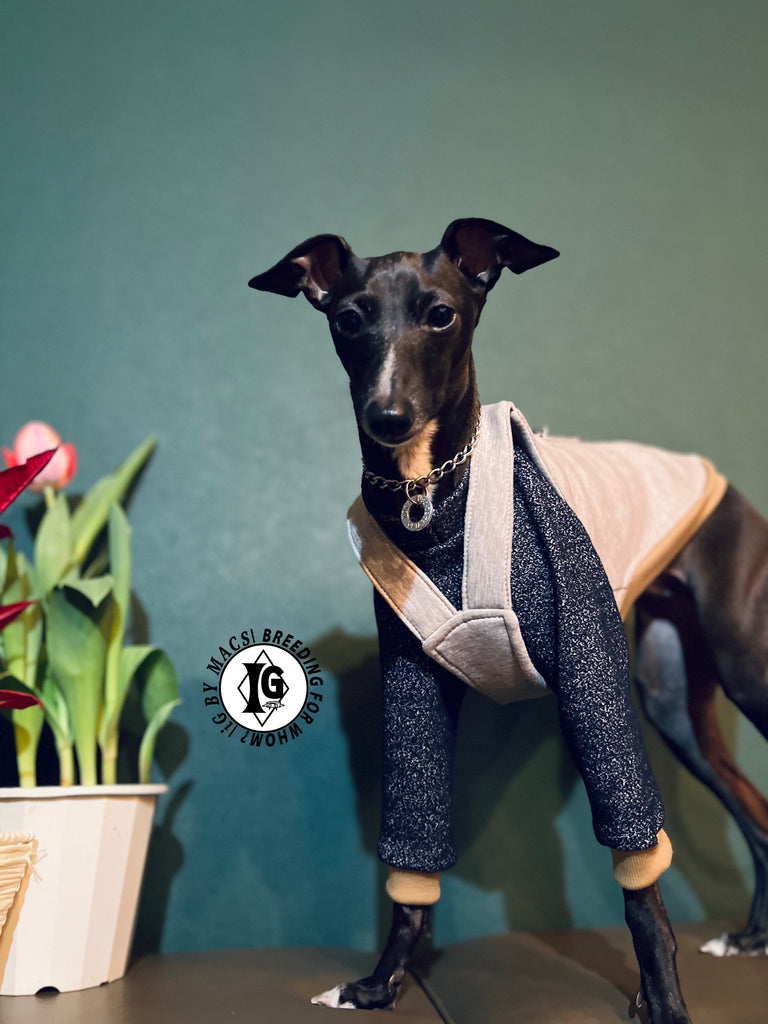 "The Night Blossom" Overall layered Pullover Blue/Ivory Color