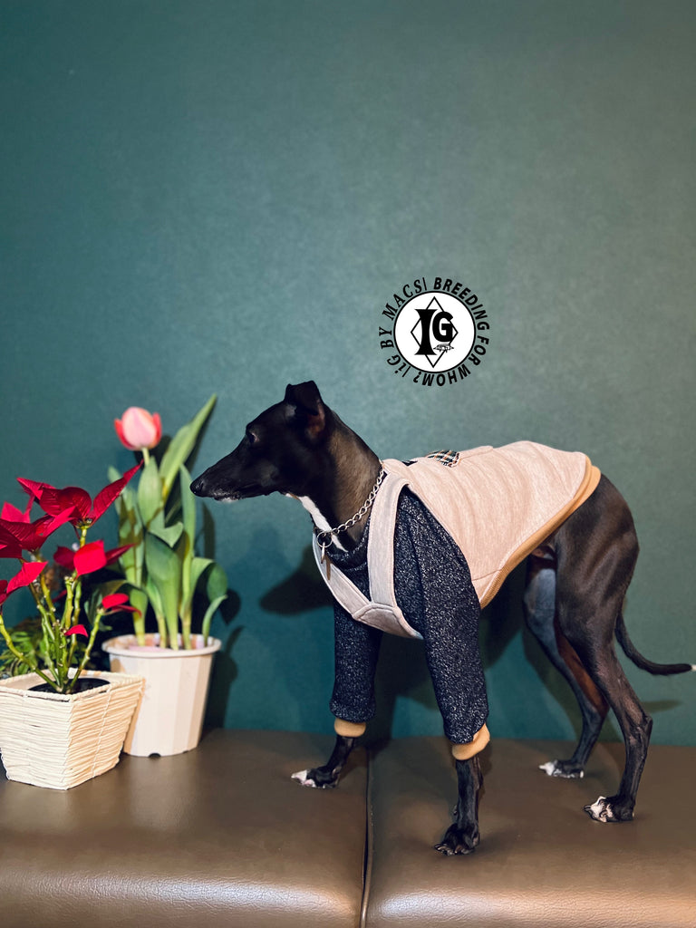 "The Night Blossom" Overall layered Pullover Blue/Ivory Color