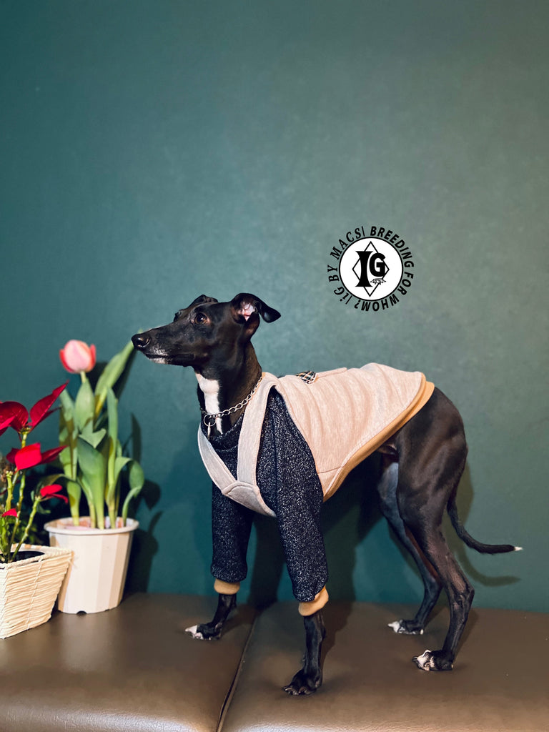 "The Night Blossom" Overall layered Pullover Blue/Ivory Color