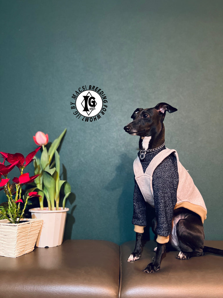 "The Night Blossom" Overall layered Pullover Blue/Ivory Color