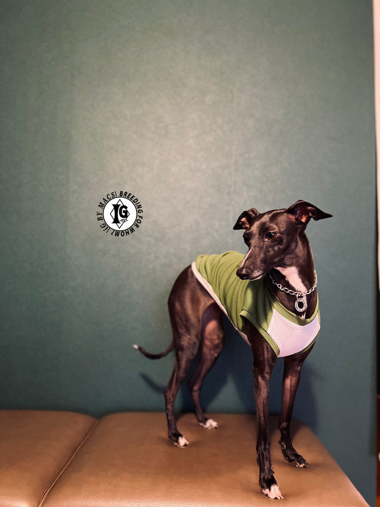 "go-to"No-sleeve long body Green color