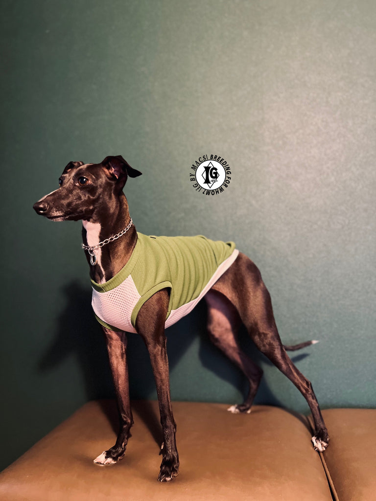 "go-to"No-sleeve long body Green color