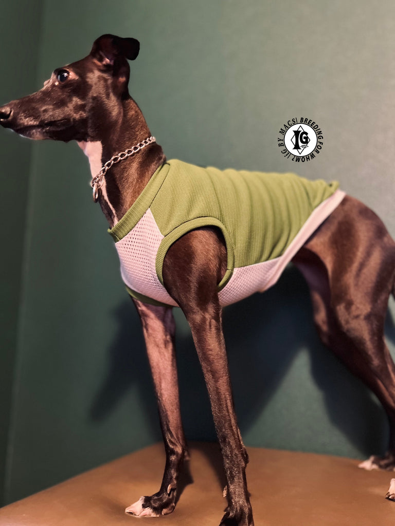 "go-to"No-sleeve long body Green color