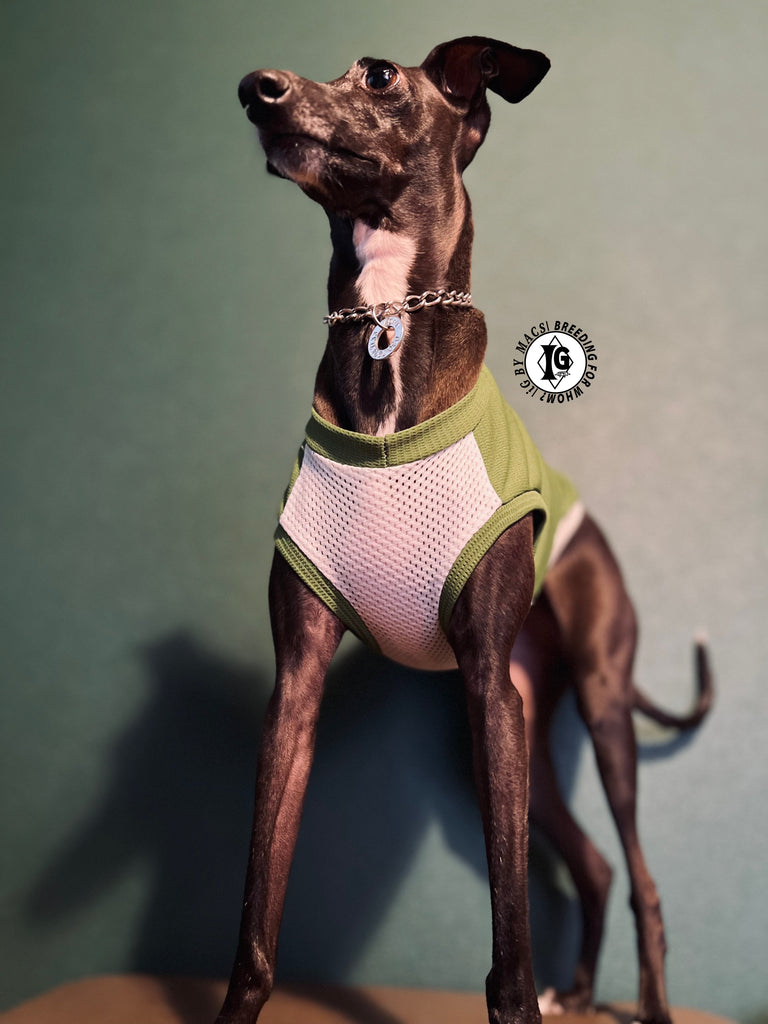 "go-to"No-sleeve long body Green color