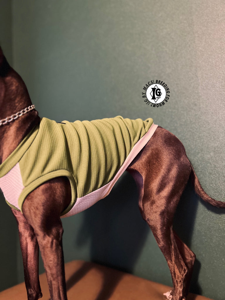 "go-to"No-sleeve long body Green color