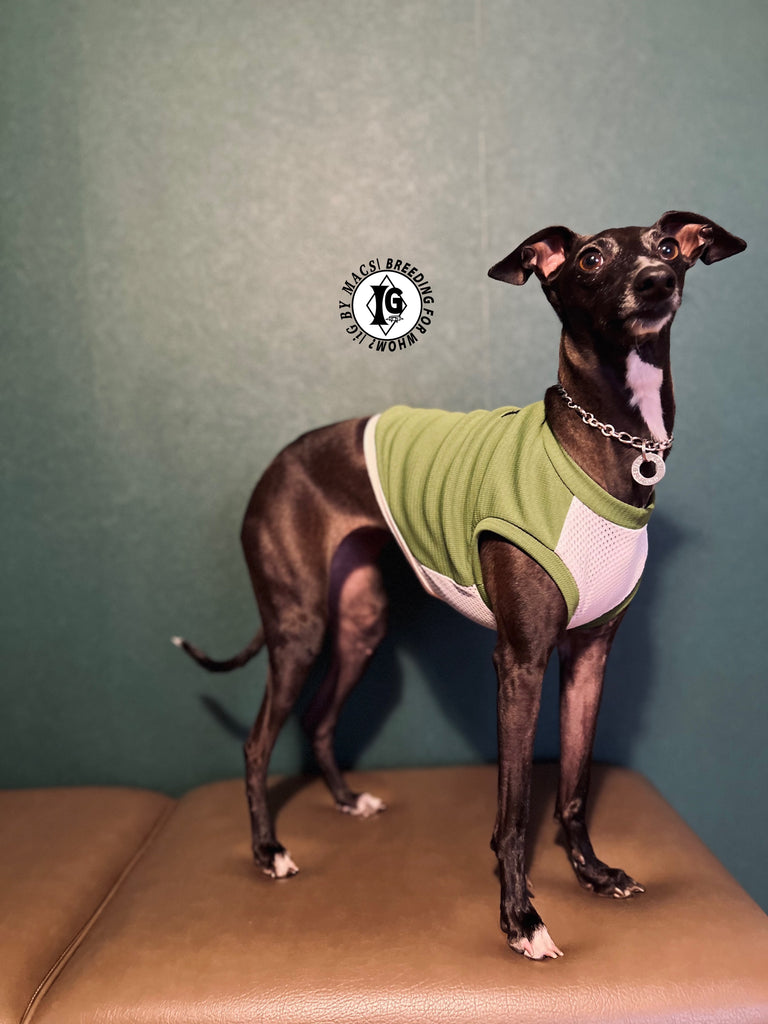 "go-to" No-sleeve short body Green color