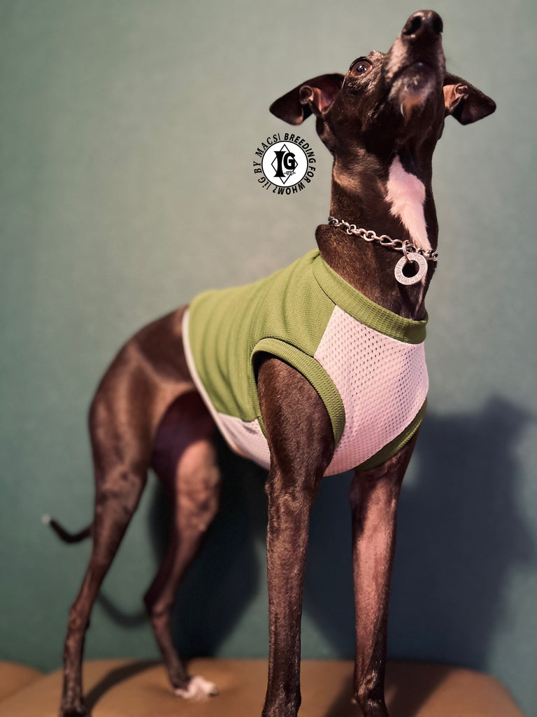 "go-to" No-sleeve short body Green color