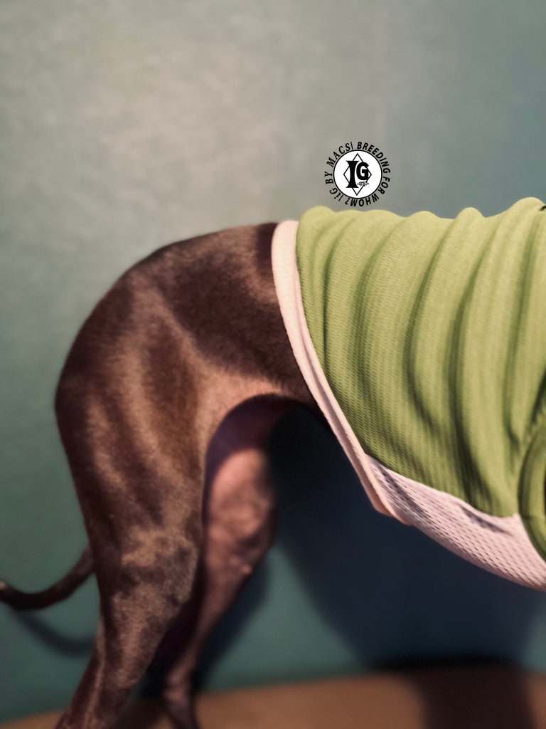 "go-to" No-sleeve short body Green color