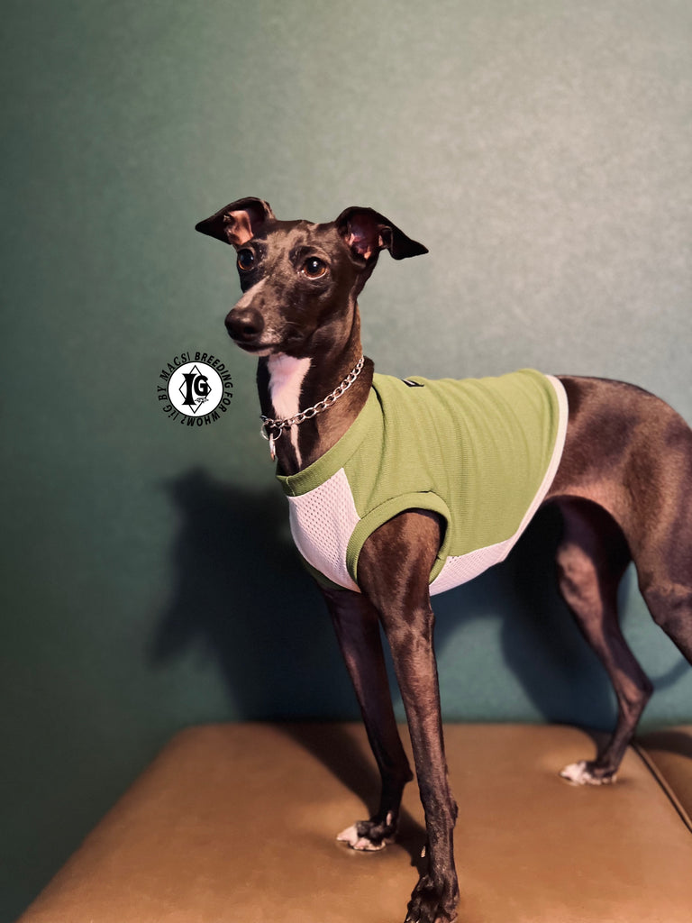 "go-to" No-sleeve short body Green color