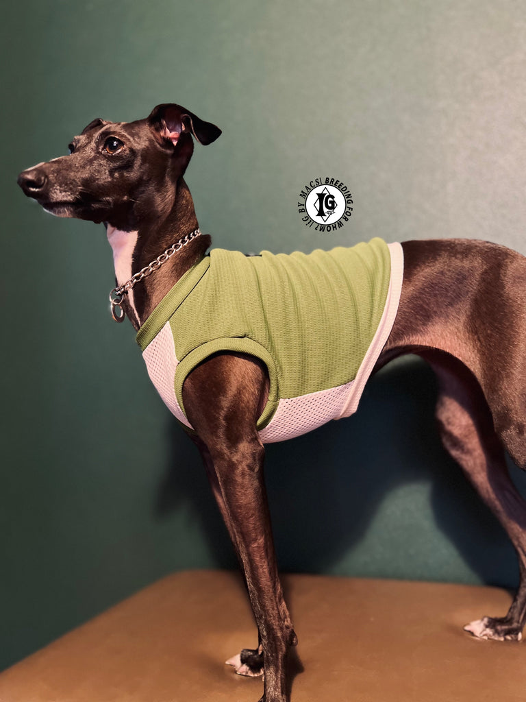 "go-to" No-sleeve short body Green color