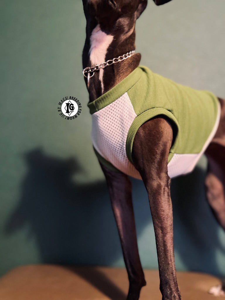 "go-to" No-sleeve short body Green color