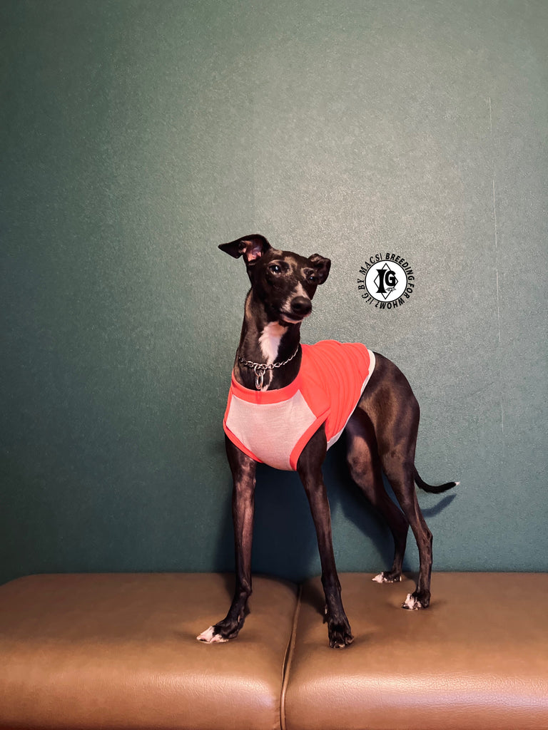 "go-to" No-sleeve long body Pink Color