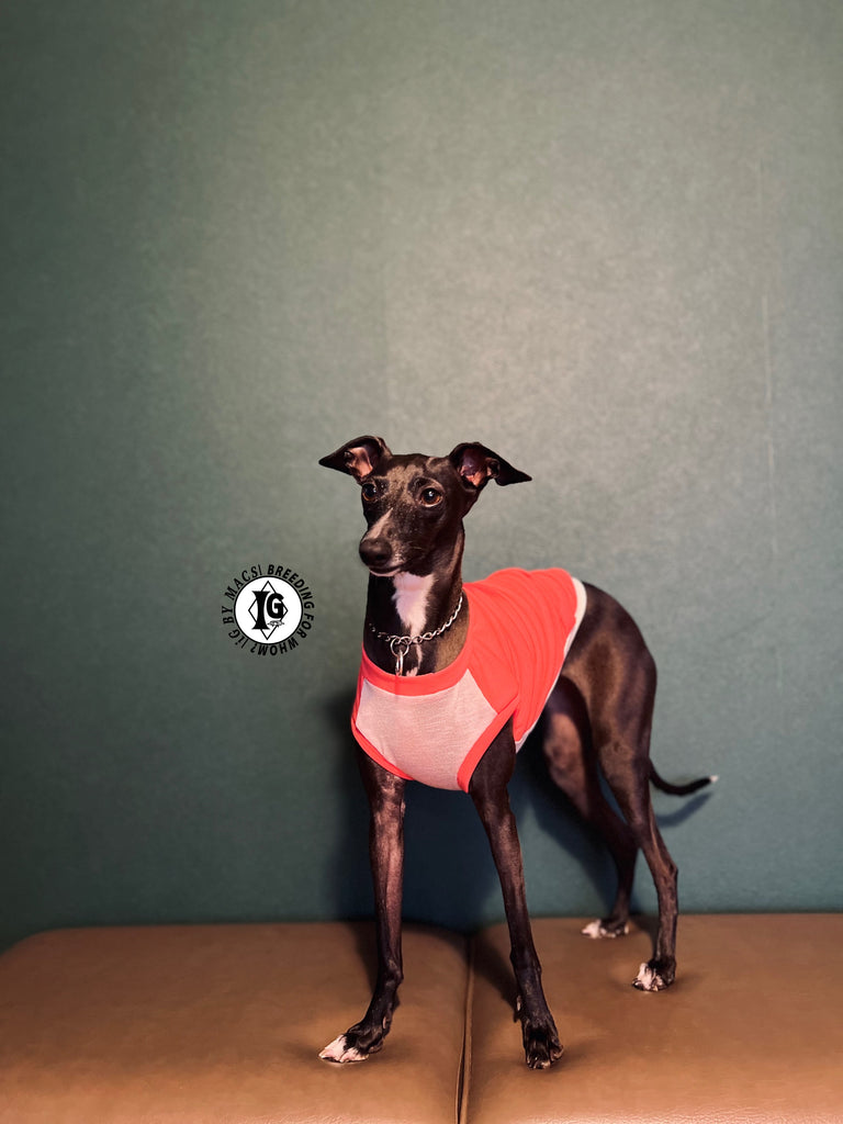 "go-to" No-sleeve long body Pink Color