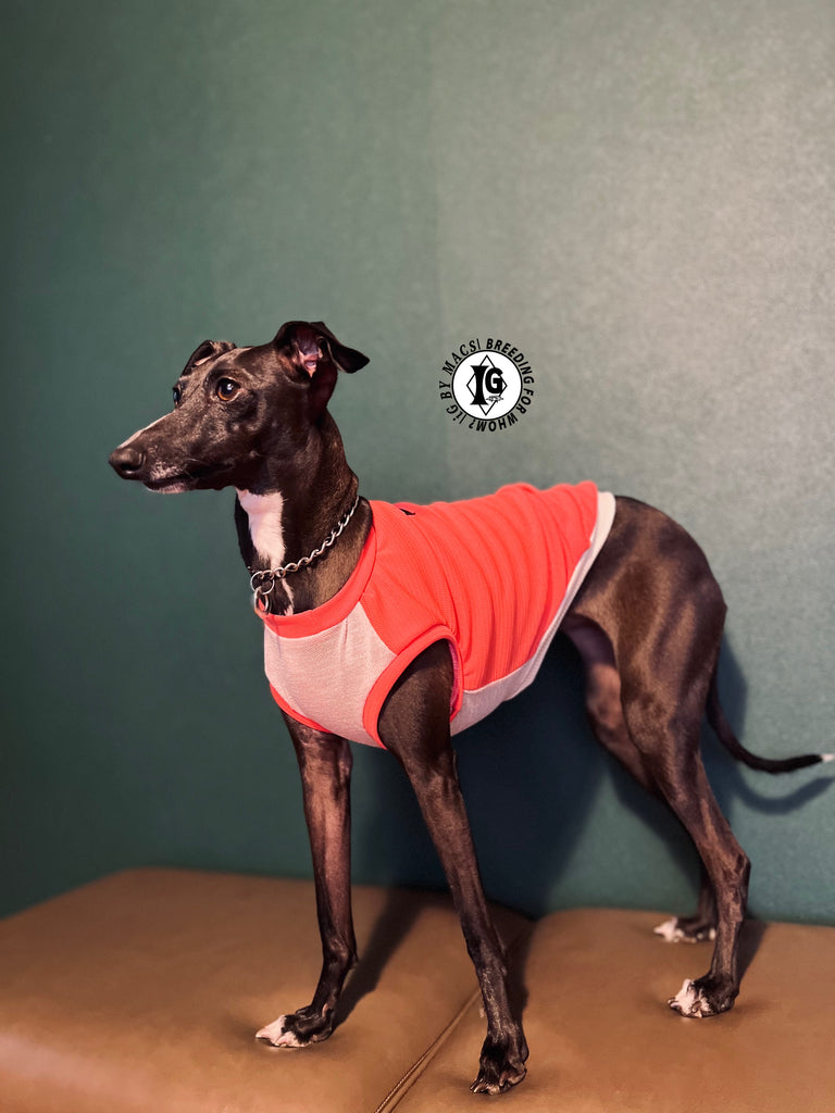 "go-to" No-sleeve long body Pink Color