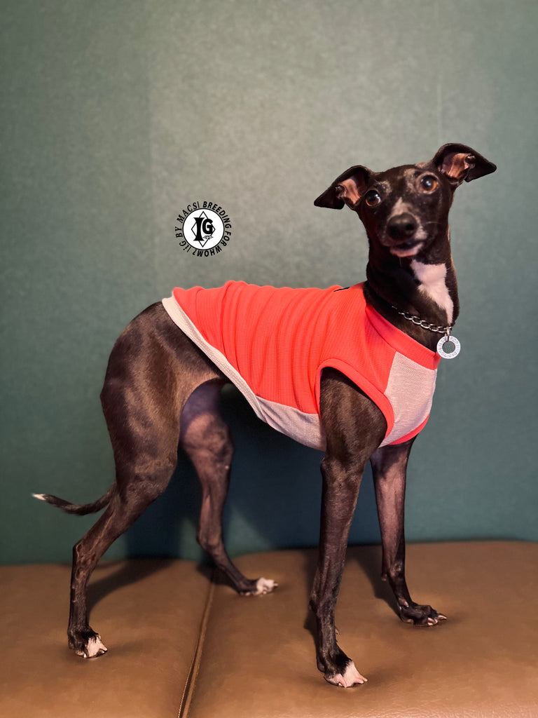 "go-to" No-sleeve long body Pink Color