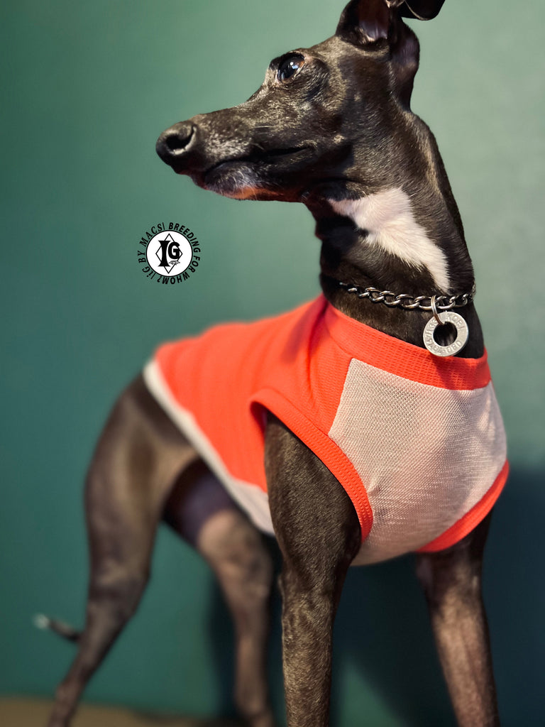 "go-to" No-sleeve long body Pink Color