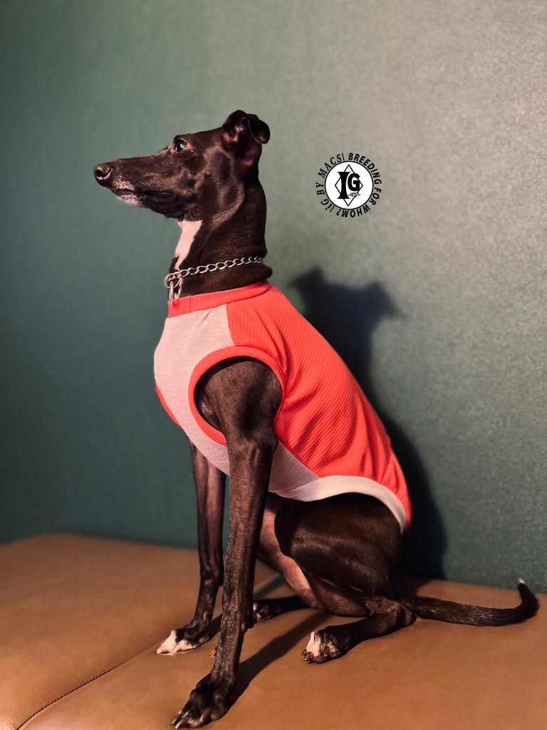 "go-to" No-sleeve long body Pink Color