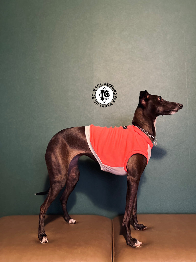 "go-to" No-sleeve short body Pink color