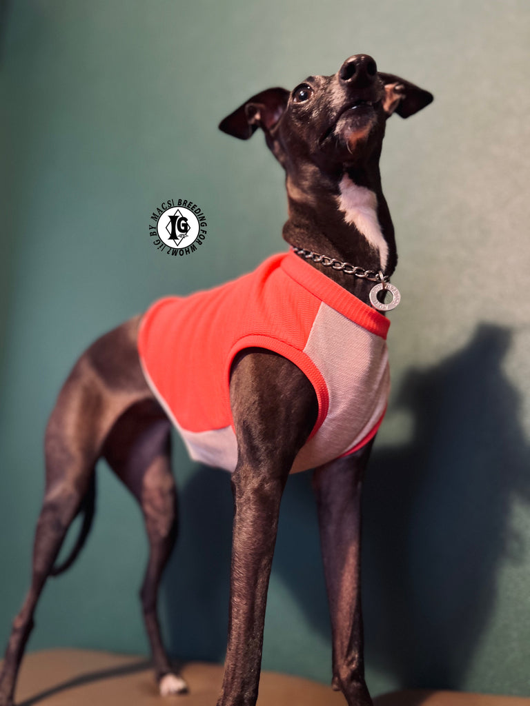 "go-to" No-sleeve short body Pink color