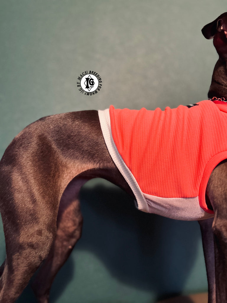 "go-to" No-sleeve short body Pink color