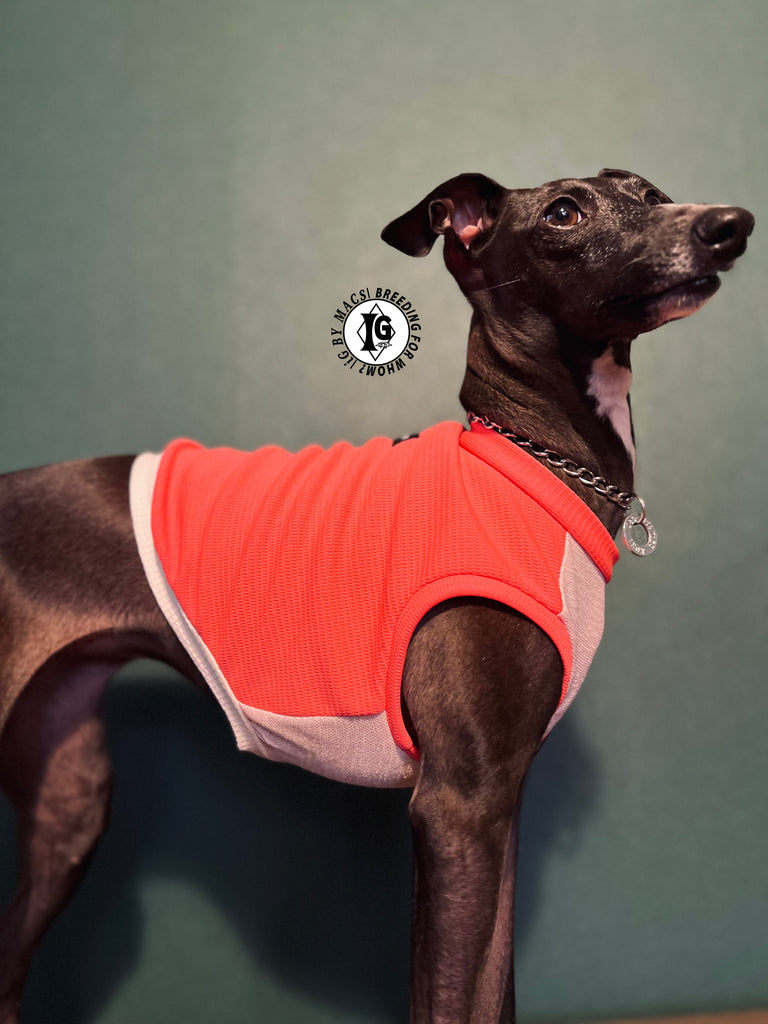 "go-to" No-sleeve short body Pink color