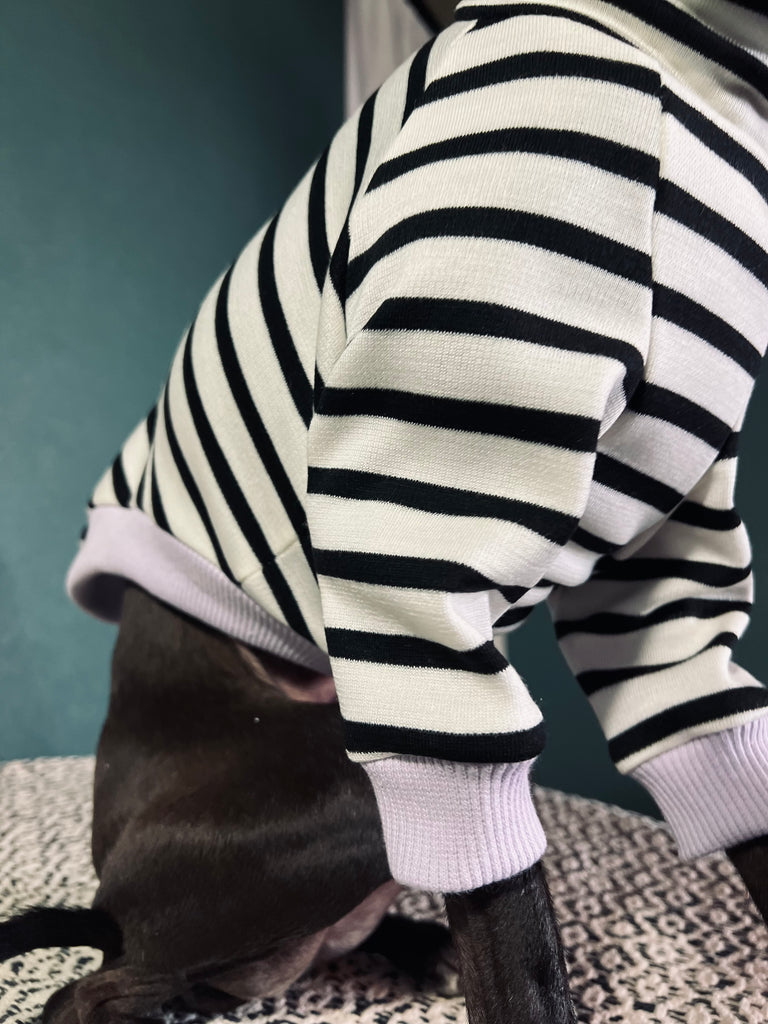 "HYGGE2"  Border Knit Pullover NO.2 None Darts
